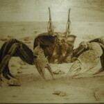 Pyrography-Life-5